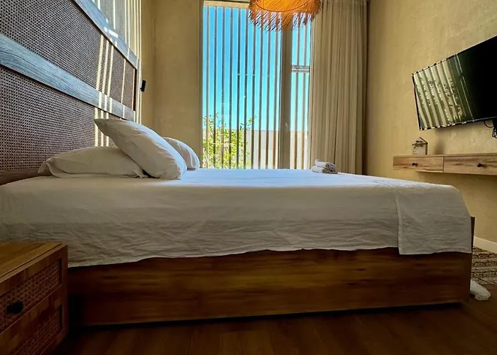 Aquaterra, Coast Palasë